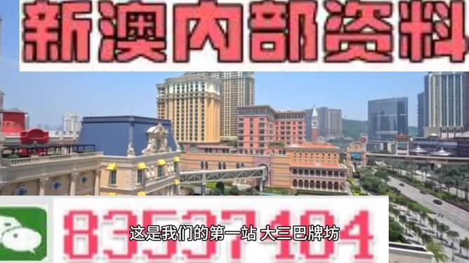 2024新澳门精准免费大全-精选解释解析落实