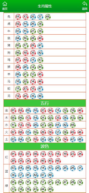 澳门王马王中王资料,全面释义解释落实