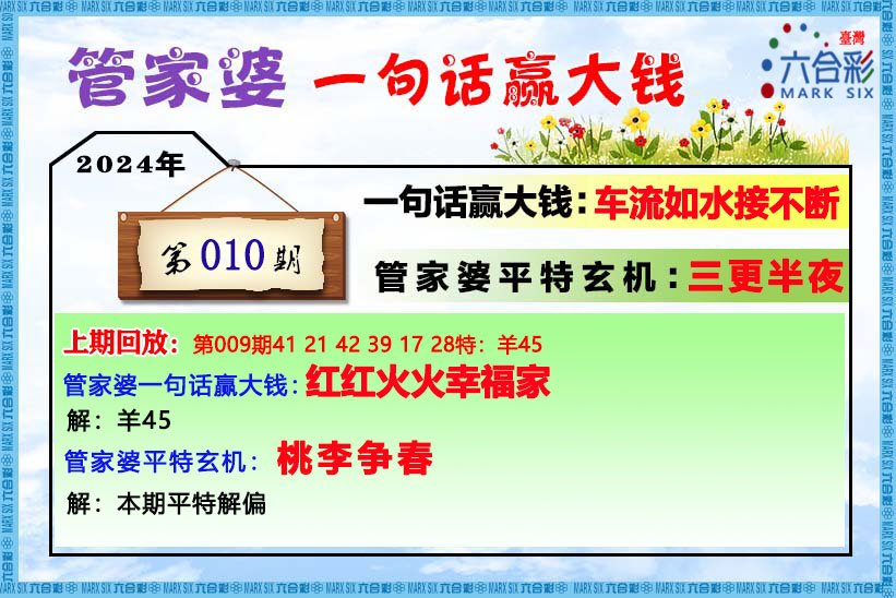 管家婆一码中一肖2025,全面释义解释落实